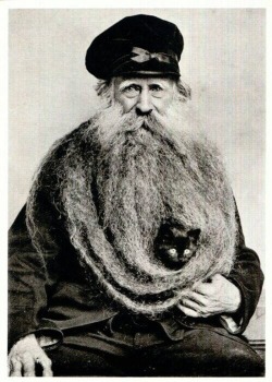 Louis Coulon vers 1900&rsquo;s, avec sa barbe de plus de 3 mètres dans laquelle il transporte un drôle de passager.