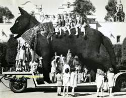 Huge Black Cat, San Diego, CA, 1935.