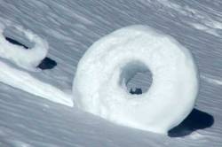 chelly-egg:  the-vortexx:  Snow donuts are a phenomena which occur when the wind blows snow over a snowy layer of ground and other snow and material is collected along the way until large rings or ‘rolls’ are formed  It’s lovely to know we live