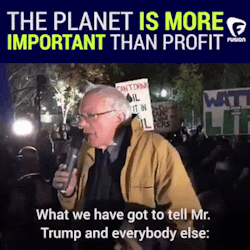 hustleinatrap:  ‘Where is Bernie Sanders?’ you may ask. He is here, with us, fighting for people and fighting for planet. Another day at work for Bernie Sanders. Another attempt to save the world. I wish there were more chances to save the ecosystem