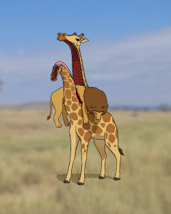 snowqueenvictor: adviceversas:  The carnivorous giraffe, terror of the Serengeti, as discussed on @whatshouldwedraw Episode 26. Seen here eating its prey: anything.  NO 
