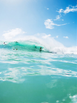 surf-fear:   