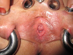 pussymodsgalore  A very close closeup of a pussy with stretched inner labia with large piercings housing flesh tunnels and heavy rings. HCH piercing. For a different view see the one above (if reblogged, click here ) 