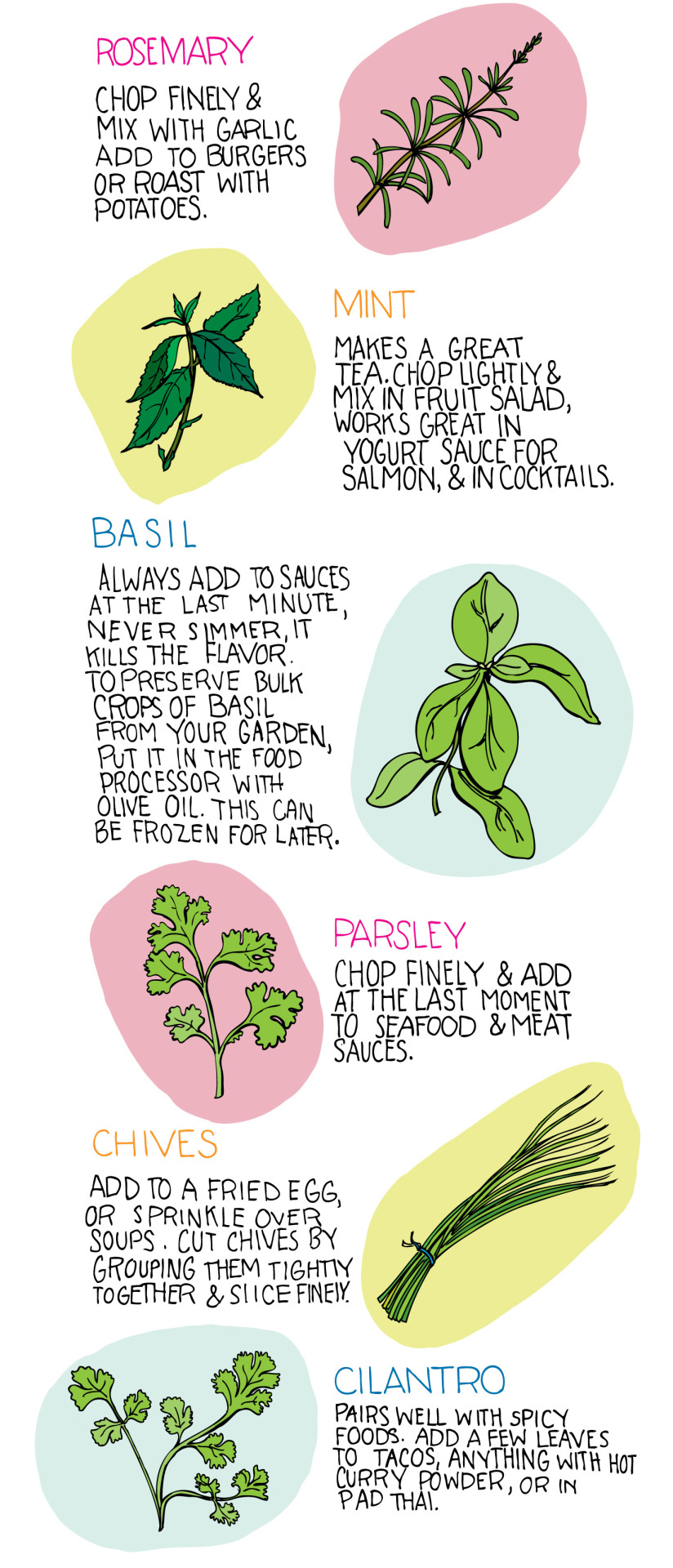 truebluemeandyou:  DIY Basic Illustrated Guide: How to Use Herbs from Illustrated