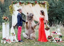 thatfineassaliengirl:  butterynutjob:  sanjo-the-banjo:  I scrolled down hoping for an explanation but there wasn’t any  The ring bear   Was this in Russia?