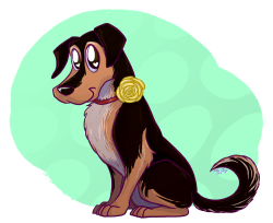 aliceapprovesart:  Lindy   It’s my sister’s birthday today! Here’s her wonderfully adorable dog, Lindy! 
