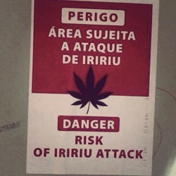CUIDADO! #iririu #danger #weed #ufes #boatarde  (em UFES)