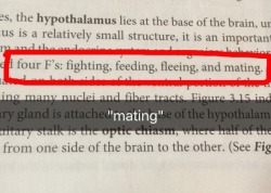 theneuroscienceside:  capamxrica:  is my neuroscience book for real  I swear this is every neuroscience textbook’s favorite joke.  