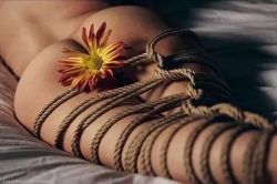 fineartofbondage:  Sensual Flower Bondage of a nude, tied girl. #bondage #sensual #art Really nice ropeart with a flower on her butt… beautifullybrok:  Lovely… ~ Beautifully Broken ~