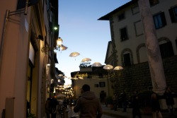 trumspringa-soon:  Florence, Italy  January