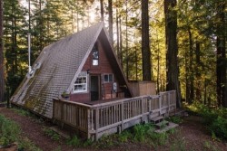 fearlessguster:  beau-ootifulsoup:  revelation–blues:  Cozy A-Frame Cabin in the Redwoods  I will live in a cabin someday