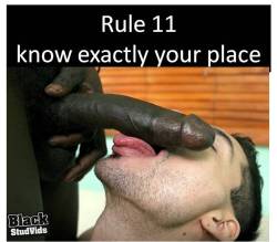 nrwguy:  karl666:  second set of rules  Jaaa so will ich es ;-)