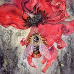 shadowscapes-stephlaw: “ #Bumblebee ”  #bee #insect #poppyflower #watercolor 