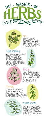 Truebluemeandyou:  Diy Basic Illustrated Guide: How To Use Herbs From Illustrated