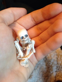 mervall:pandorasvoidstar:  damgiftshop:  mervall:  The adventures of young Boneparte  Look at my friends baby skeleton. I hope he drinks lots of milk so when he’s drafted into the skeleton war he’s prepared for battle.  HES SO FUCKING CUTE  look what