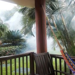 Zika virus has the resort spraying chemicals everywhere. Now&hellip; I do not want to go outside. That stuff will be in the pool, on the flamingos, all over the pool chairs, on the sand&hellip;. I am all creeped out&hellip; What is worse? Mosquitos or
