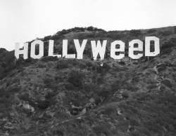 s&ndash;upertramp:On January 1, 1976, the iconic “HOLLYWOOD” sign was altered to read “Hollyweed” by the late Danny Finegood of Los Angeles and a few of his college friends. The stunt — celebrating the decriminalisation of marijuana in California