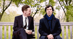 sherlock-hannibal:  If Sherlock meets Benedict.