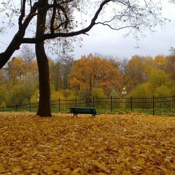 #Autumn #sonata 1 / #Gatchina #imperial #park / #Oktober #2013
