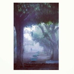 sanddyg:  Foggy morning #photo #photography #randomshot