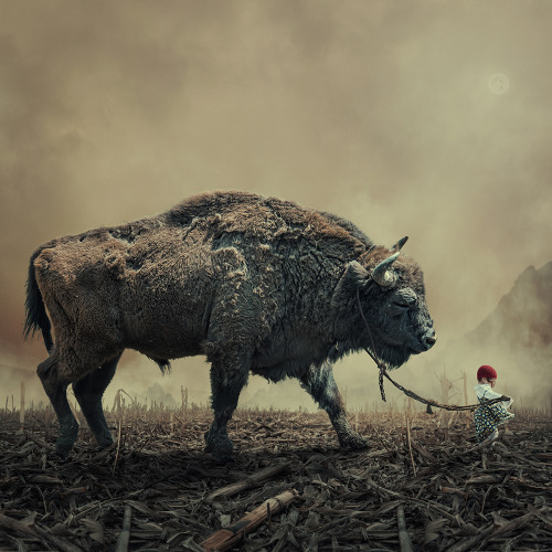 sosuperawesome:  Caras Ionut porn pictures