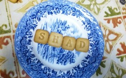 arkhamsdiaperpail:  shads-world:  Iâ€™m feeling better today, thanks for all the warm wishes. :) Â I was feeling so much better in fact, that I had some fun with my alphabet cookies during lunch.Â It started with me just spelling my name, and then I thoug