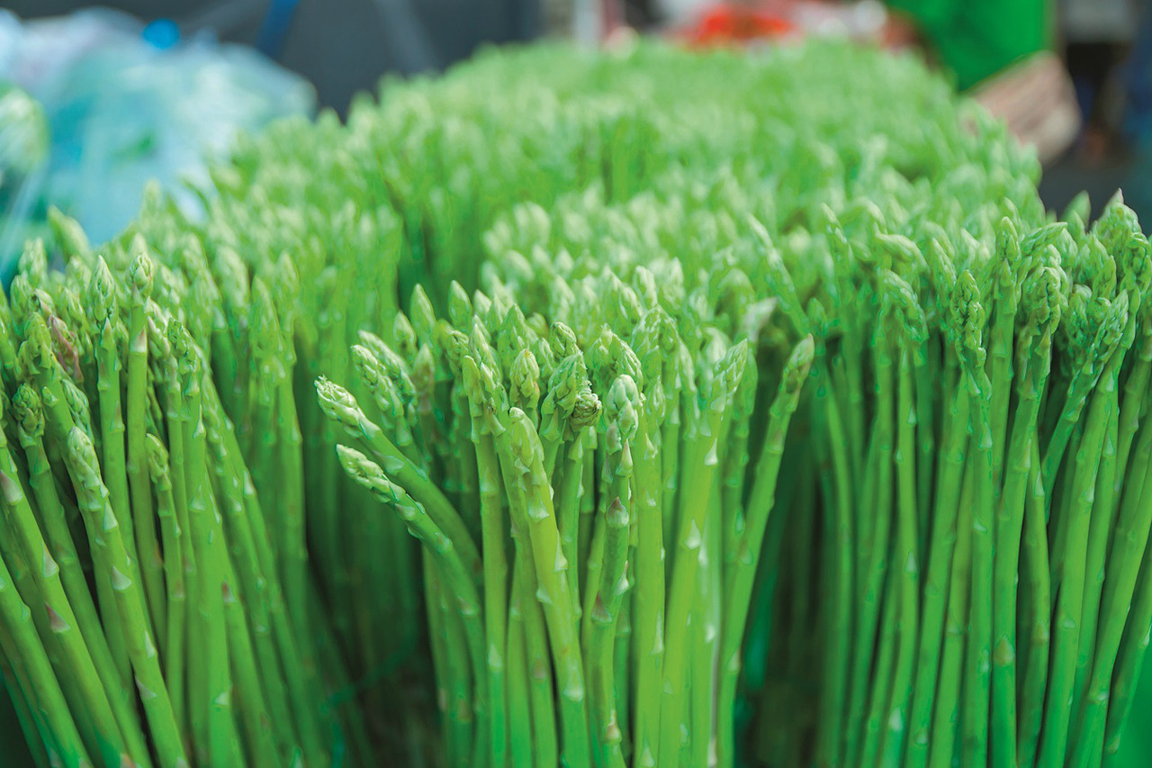 The first crop of asparagus from Nikita Kovrizhin is expected only in 2020