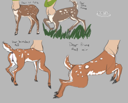 So this is like the first time I actually sat down and studied deer references (yeah I know I know a little slow on the draw there :V) but I felt like I needed to, because I dunno if y’all have noticed lately but I’ve been neglecting Enchantress’