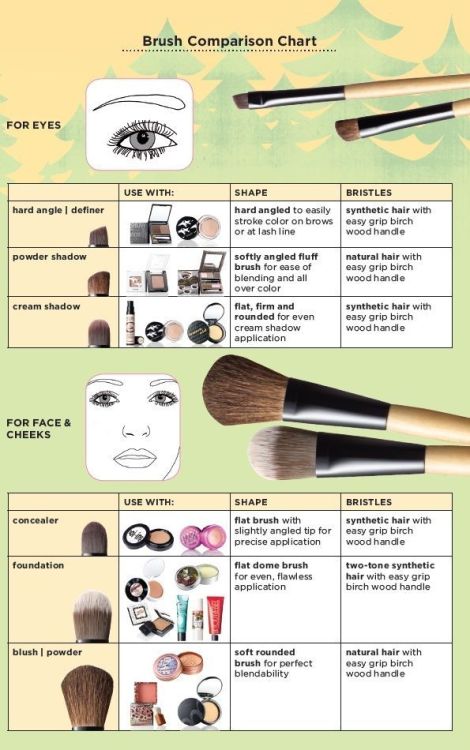 jaynelovesdick:  decorkiki:  Here’s a breakdown on Makeup Brushes. Hope it helps someone! Shop KikiCloset or KikiModo  thank you! we all need makeup tips there are many youtube videos there are some great pointers here perhaps the best way to learn