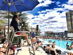 awesomecouple1:  At The Cosmopolitan Hotel of Las Vegas even the Lifeguards are lifestyled. #lasvegas #thecosmopolitanoflasvegas #bamboopool