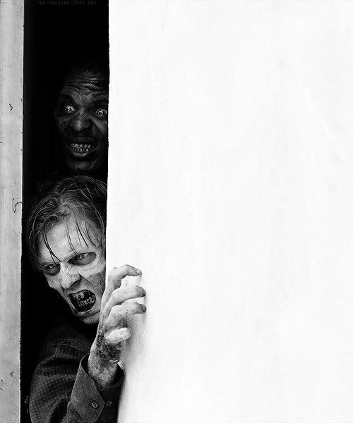 :  The Walking Dead favorite still per episode: 1x03 “Tell it to the Frogs” 
