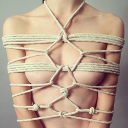 Getnakedwhileyourestillpretty:  Another Pretty Victim. Client! I Mean Client. #Rope