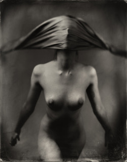 vivipiuomeno1:  Andreas Reh   ph. - Siren Of The Night, wet plate collodion