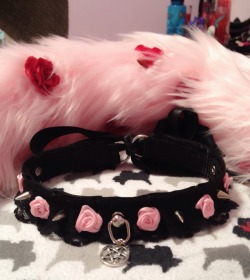 littleqsoddities:  kittens-creme:  These would be so cute to wear for Valentine’s Day. I’m super obsessed with my rosey pet gear. 🌹🌹🐱🌹🌹The beautiful tail is from @littleqsoddities and it’s just so lovely! I don’t want to take it