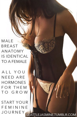 tvhelper:  seattlejasmine:  http://seattlejasmine.tumblr.com  Male breast anatomy is identical to a female. All you need are hormones for them to grow. Start your feminine journey.  lets get you started then