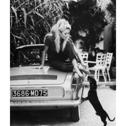 ohlovelybubbly:  @lindseyballadofmagazine saw this and thought you’d appreciate it! #bridgetbardot #sixties #dachshunds #icon #dogs