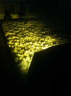 Put some yellow fogs in my tbss &hellip; Don&rsquo;t eat the yellow snow kids !!!