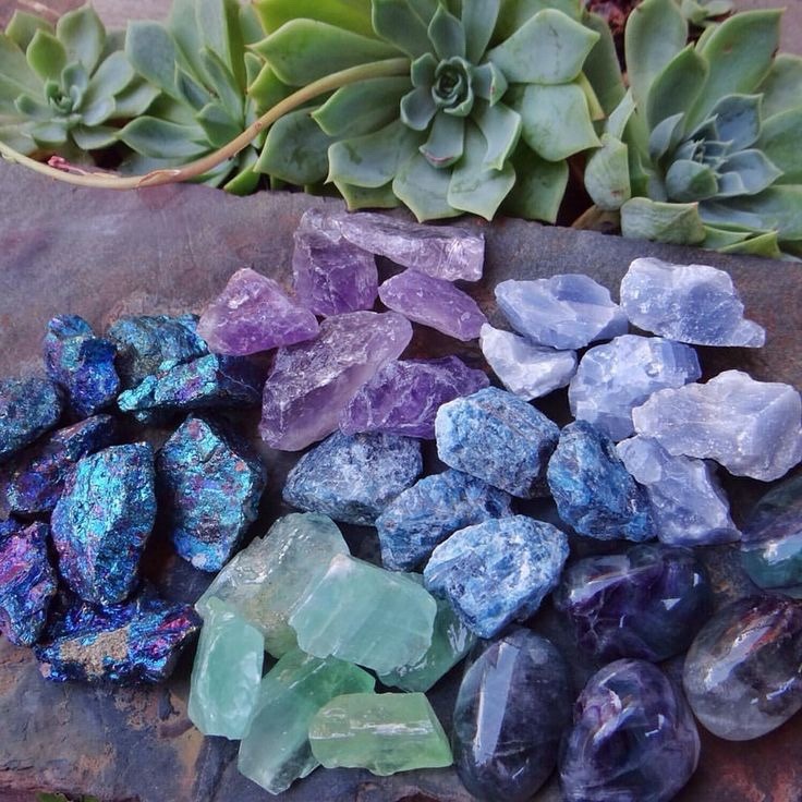 underthebogart:  Green   Purple   Succulent   Crystal   Witchy Moodboard requested
