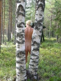 In a Finnish forest three great submissions thank you