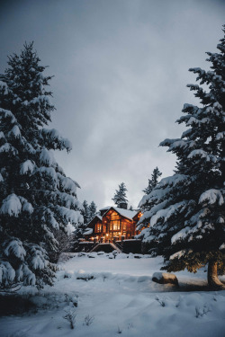 captvinvanity:  Julien Buchowski | The winter mansion