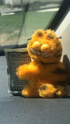 torracat:this is the money garf. reblog for untold pasta and riches to come your way