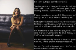 clickthelock: I’m sorry, but I just don’t believe you. You begged and begged for me to lock up your little cock and become your cruel, teasing mistress.  Now you say you want out? By http://clickthelock.tumblr.com 