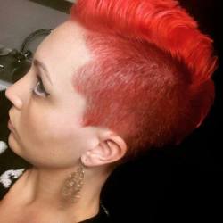 shorthairbeauty:  Who likes RED? http://ift.tt/14cdhLT