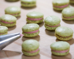 fullcravings:Green Tea Macarons with Raspberry Buttercream