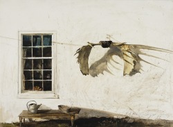 crystalline-aesthetics: Andrew Wyeth The Trophy. 1963, drybrush and watercolor on paper,  55.5 x 77.5 cm 