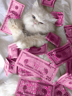 Y2Kbae:  Yung—Barbie:  Msniiina:  Msniiina:  My Money Is Pink And My Pussy White