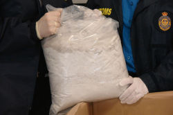 dicknails:  huge bag of mdma (molly) seized by australian customs     you know what i could do with all this molly? overdose.