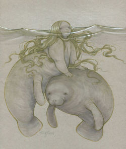 ursulavernon:  savannahhorrocks:  Used the mermaid prompt on sketch dailies as an excuse to do a nice thing of one of my manatee mermaids. And a manatee! X3 Mixed media on toned grey paper!   Wodgy wodgy manatee! Eee!