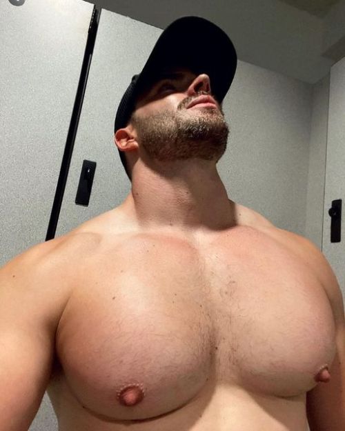 nipleatherdaddy:  Not sure about the Chest but those nips could be good to check out