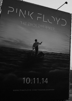 This friday - The endless river